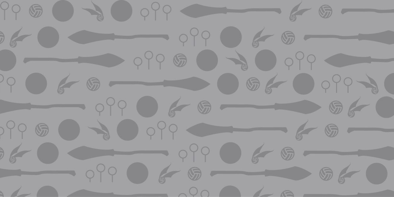 QuidditchUdeM's profile banner image