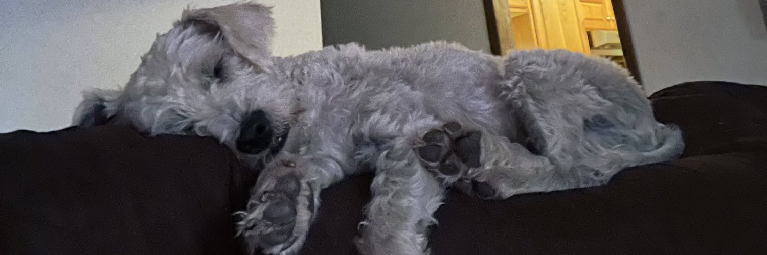 𝑦𝑒𝑠𝑖 ⭒ banner