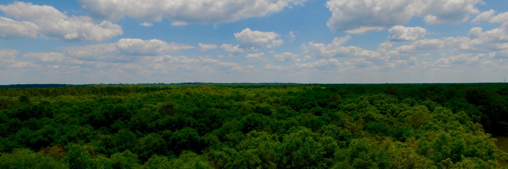 trimble99's profile banner image