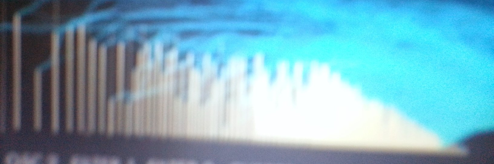 Gisela Reubens's banner