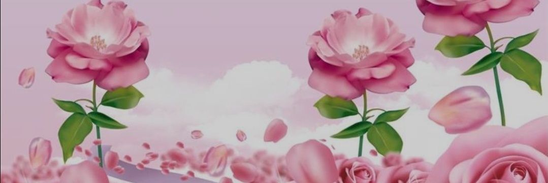rajeah1300's profile banner image