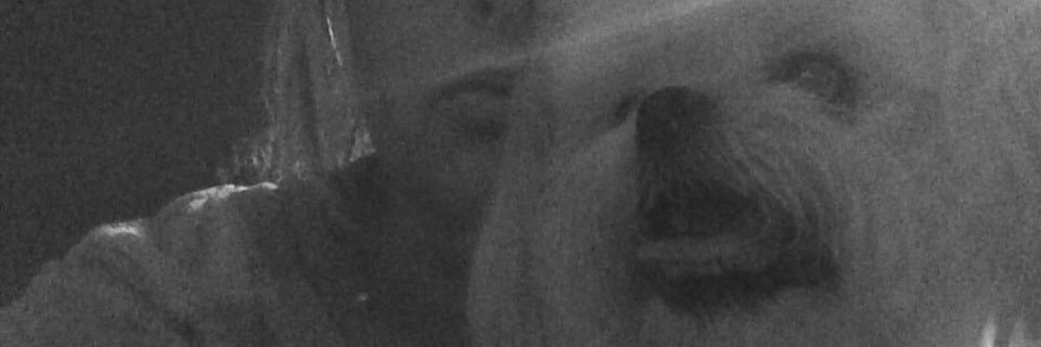LymanErin's profile banner image