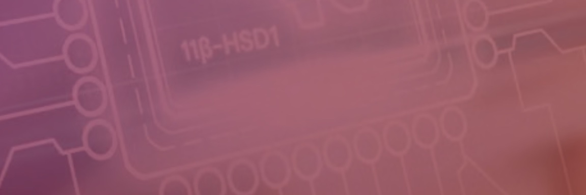 butcherano's profile banner image