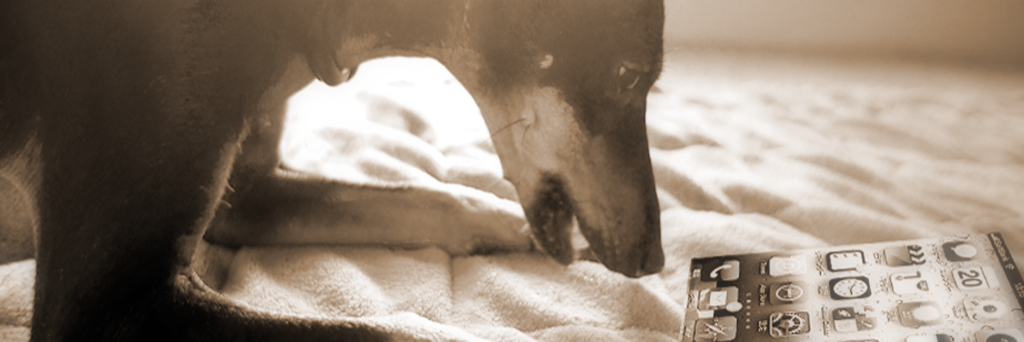 こだわりDIY職人 - tos banner