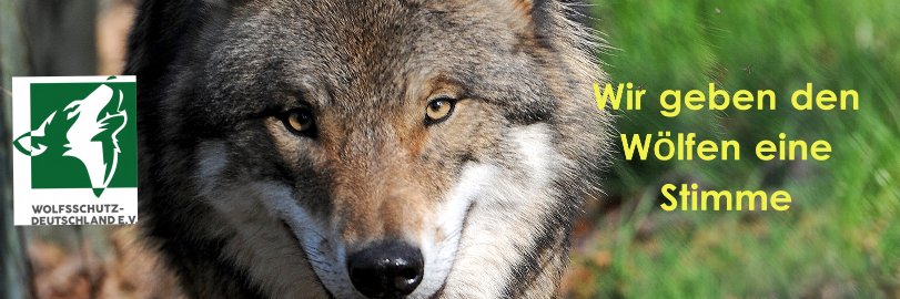 Wolfsschutz-Deutschland banner