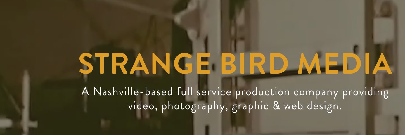 thestrangebird's profile banner image