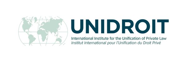UNIDROITorg Profile Banner
