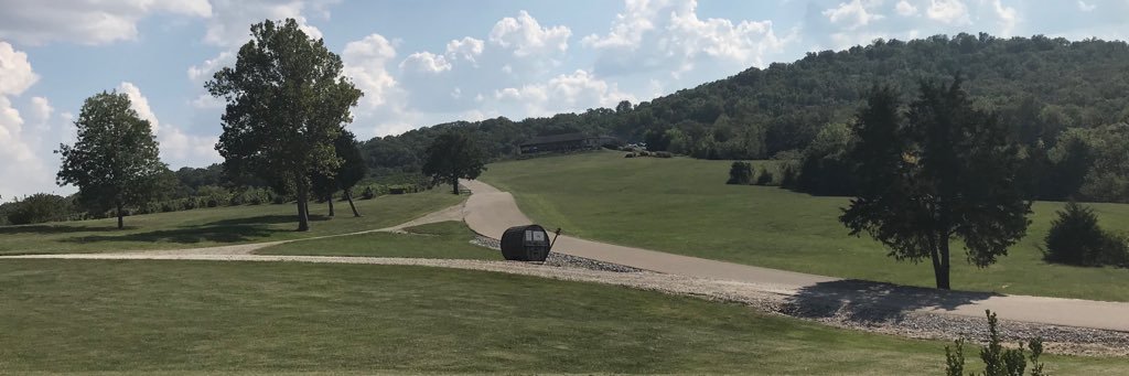taraplastock's profile banner image