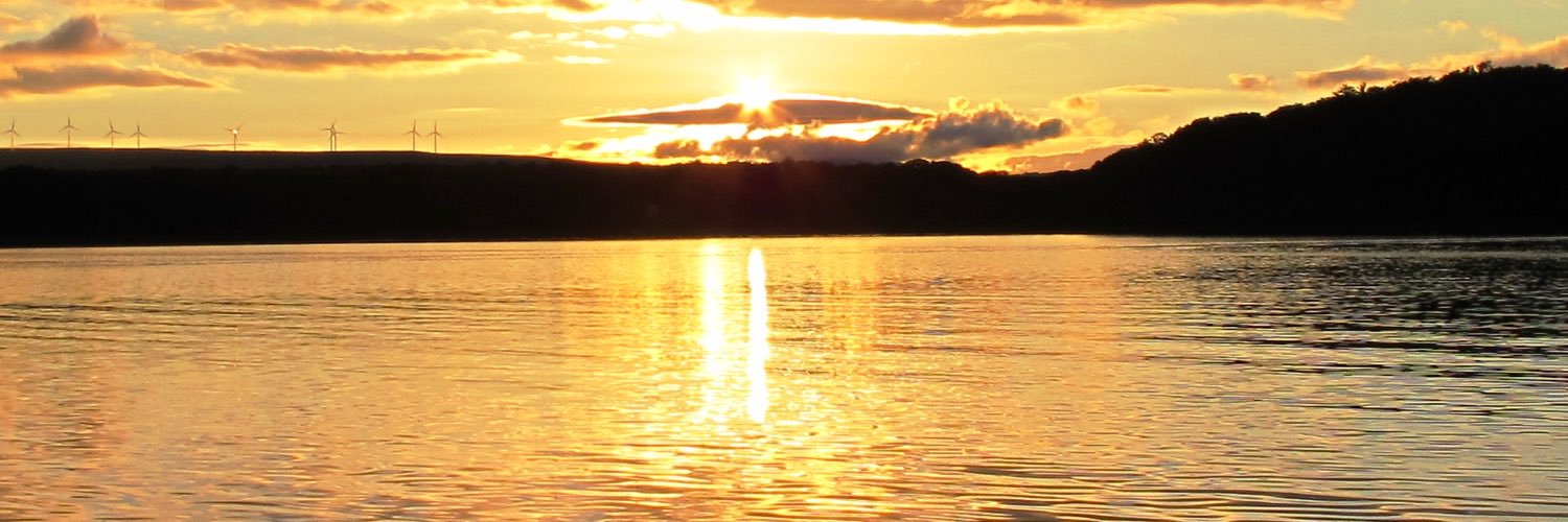 Brenda Devine banner