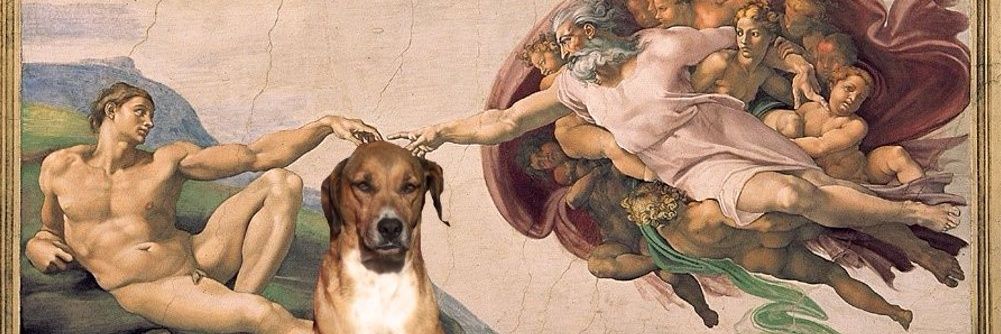 acarolneder's profile banner image