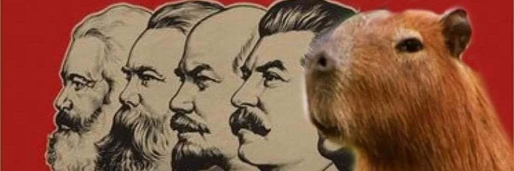 not_pear_'s profile banner image