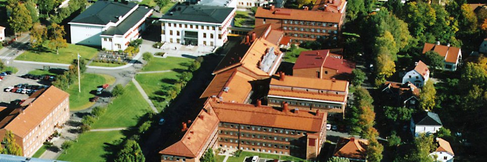 Human Evolution Research Program Uppsala's banner