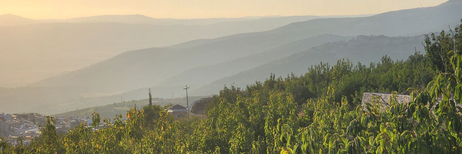 סוואיקט - Swaiket banner
