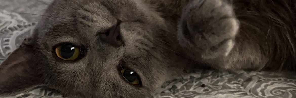 Keylamtz_'s profile banner image
