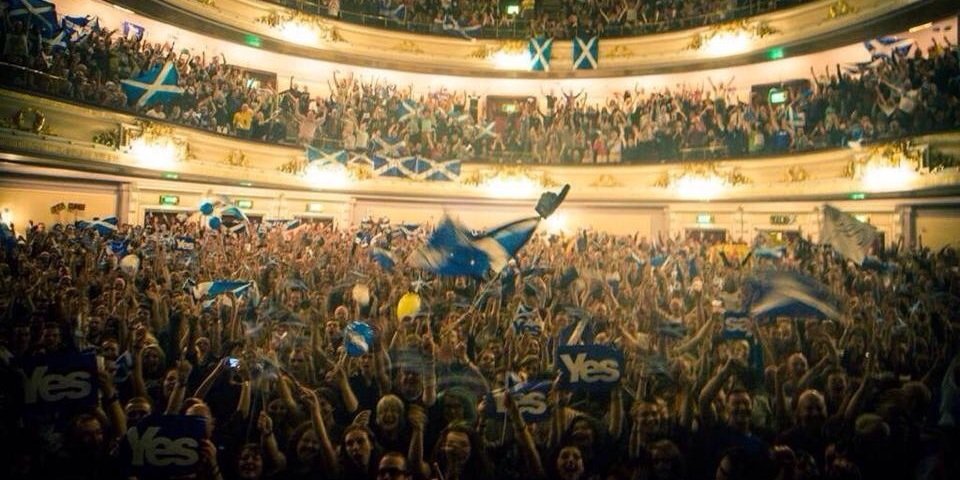 Leish banner