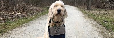 WoofPack Trails banner