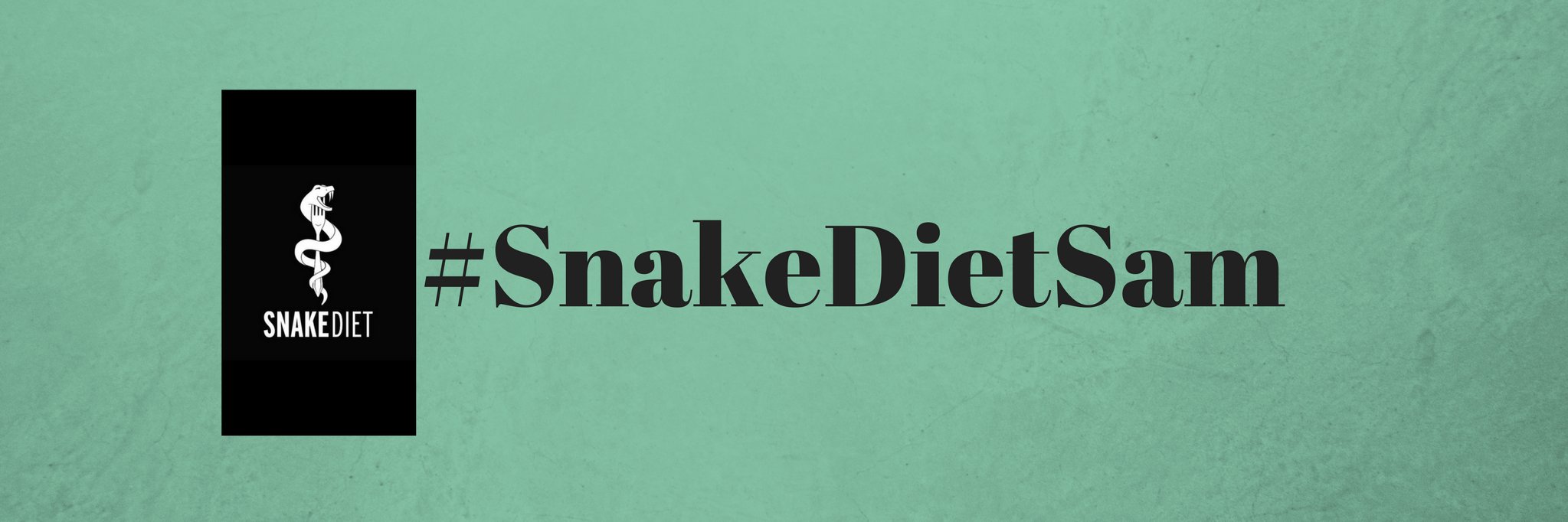 SnakeDietSam's profile banner image