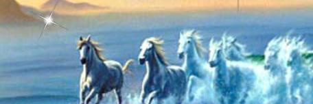 b_celyne's profile banner image