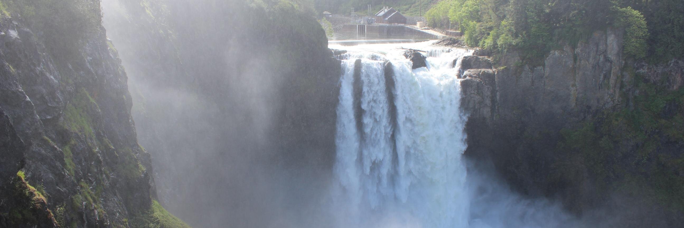 EricaFalls's profile banner image