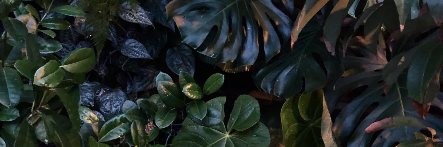 agriardi's profile banner image