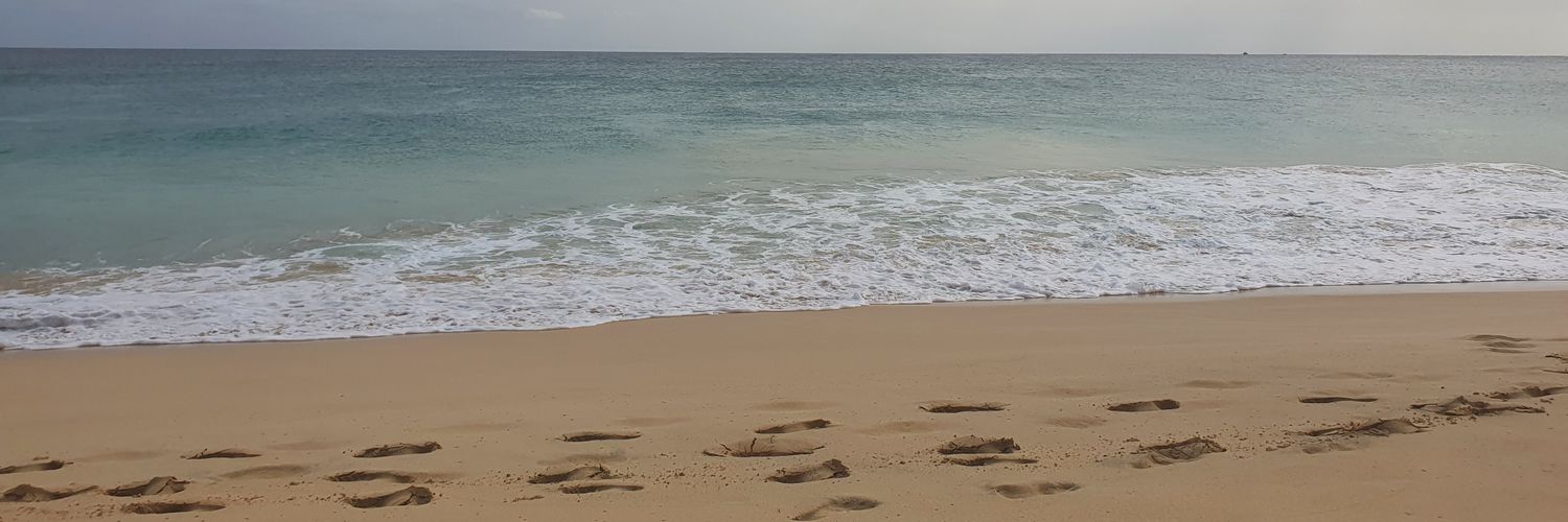 AliRobinson54's profile banner image