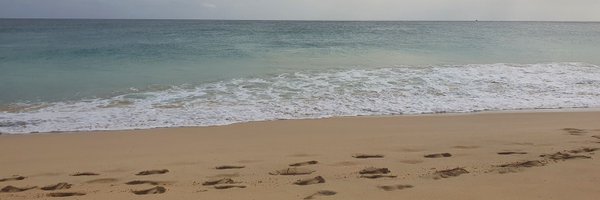 AliRobinson54 Profile Banner