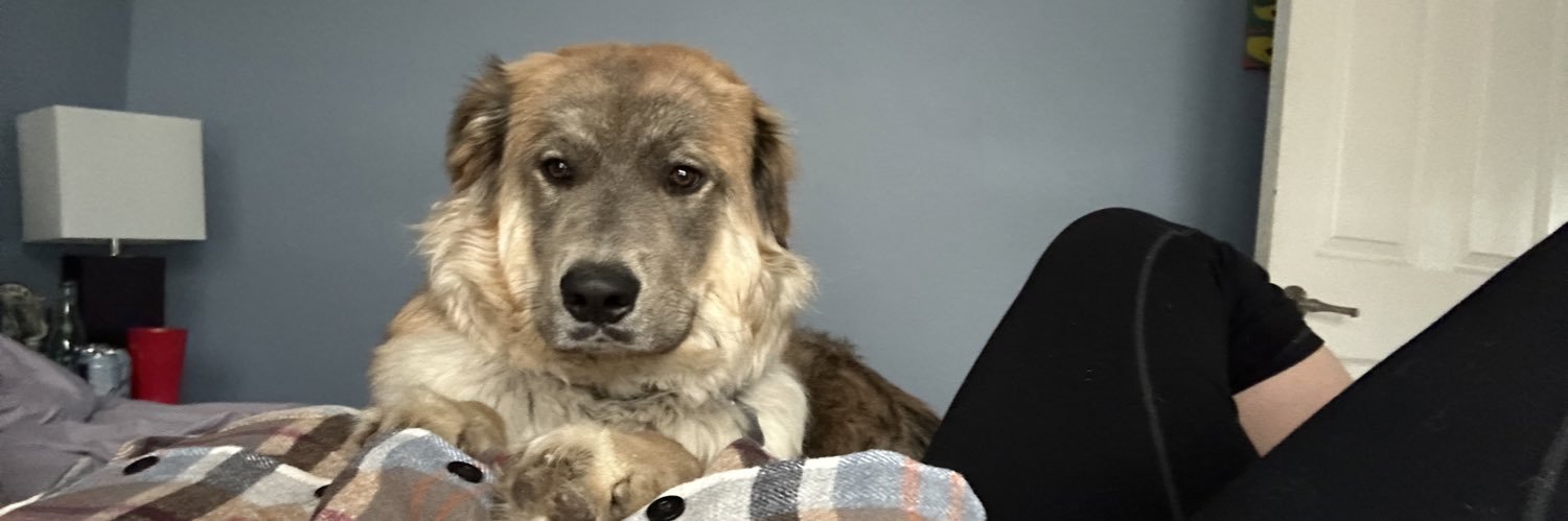 Bridget Sanderson banner