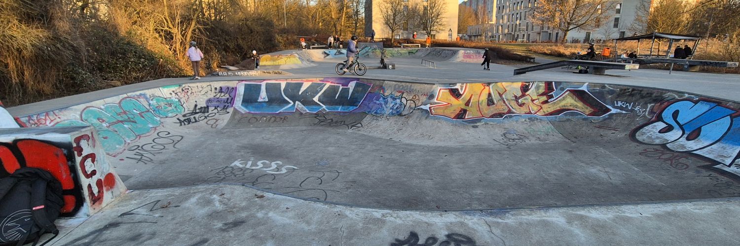 asic destroyer banner