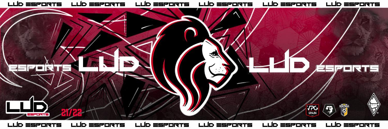 LUD ESPORTS 🦁 banner