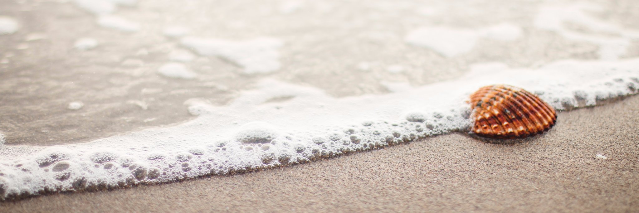 Charlene Kingston banner