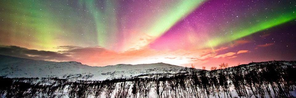Hayleyndaa's profile banner image