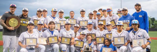 STP__Baseball Profile Banner