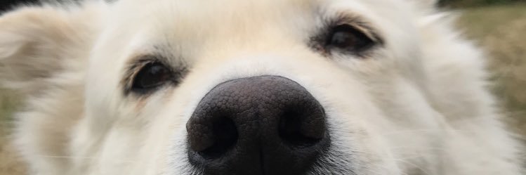 Beubeuman's profile banner image
