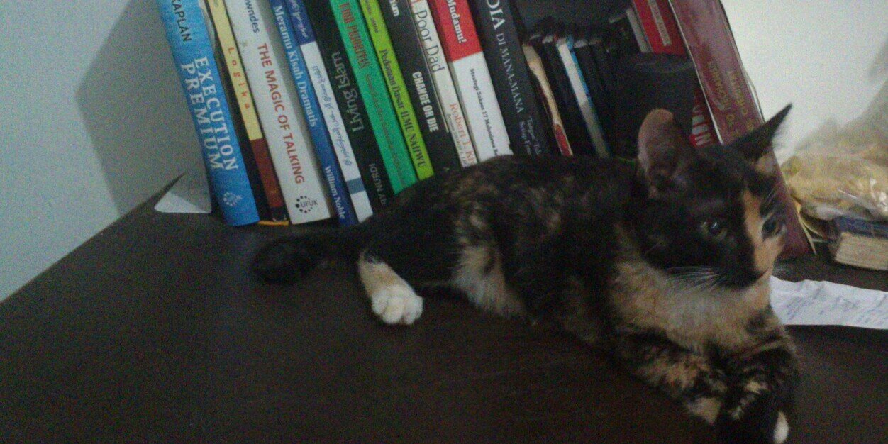 Hadi Kurniawan AR banner