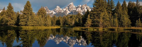 rex_mls Profile Banner