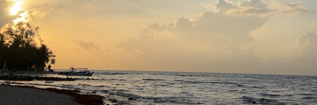 nenamlnvic's profile banner image