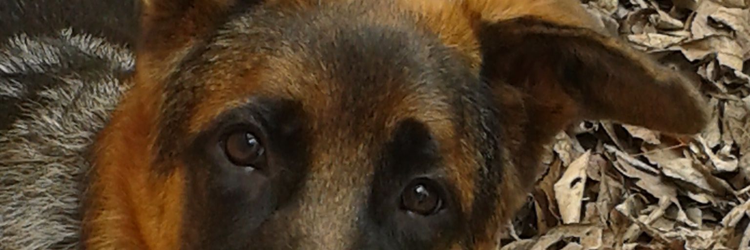 alejan1994's profile banner image