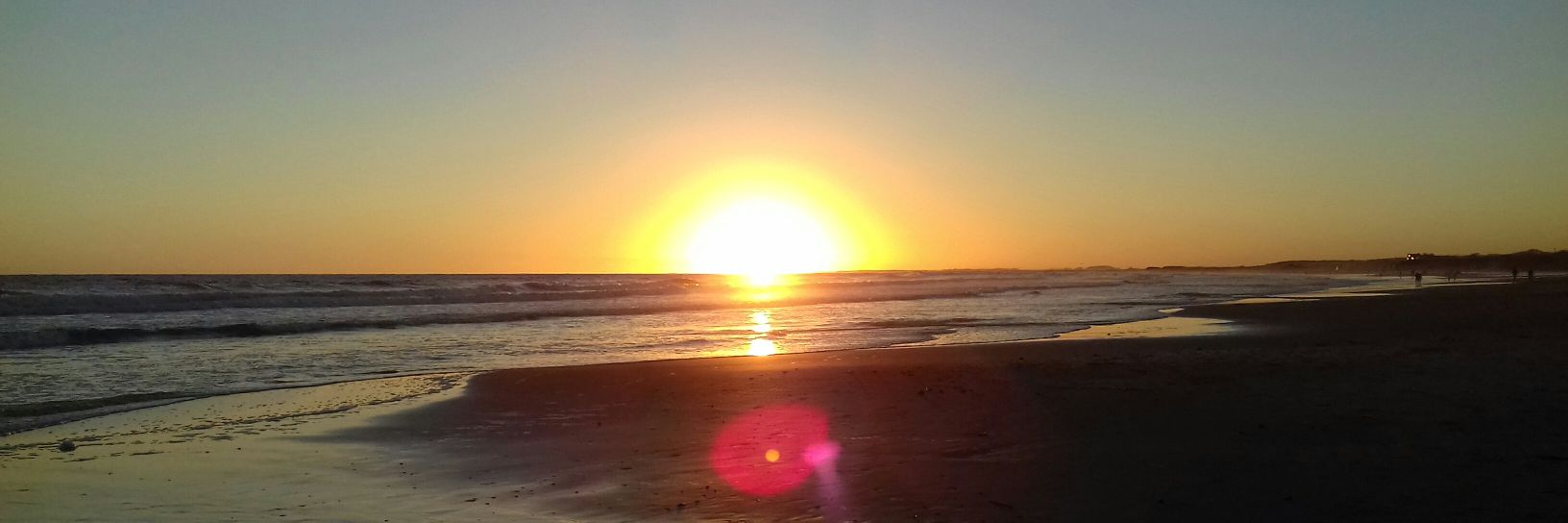 Sol_Riccio's profile banner image