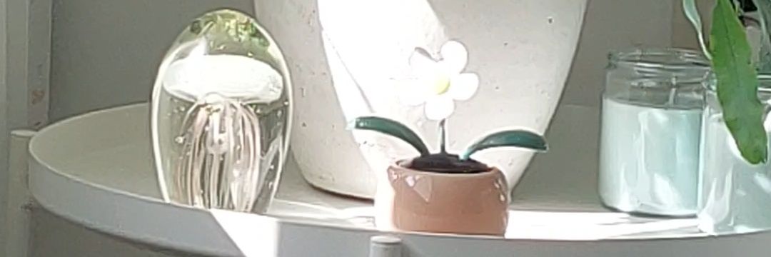 Carla den Engelsen🐝 banner