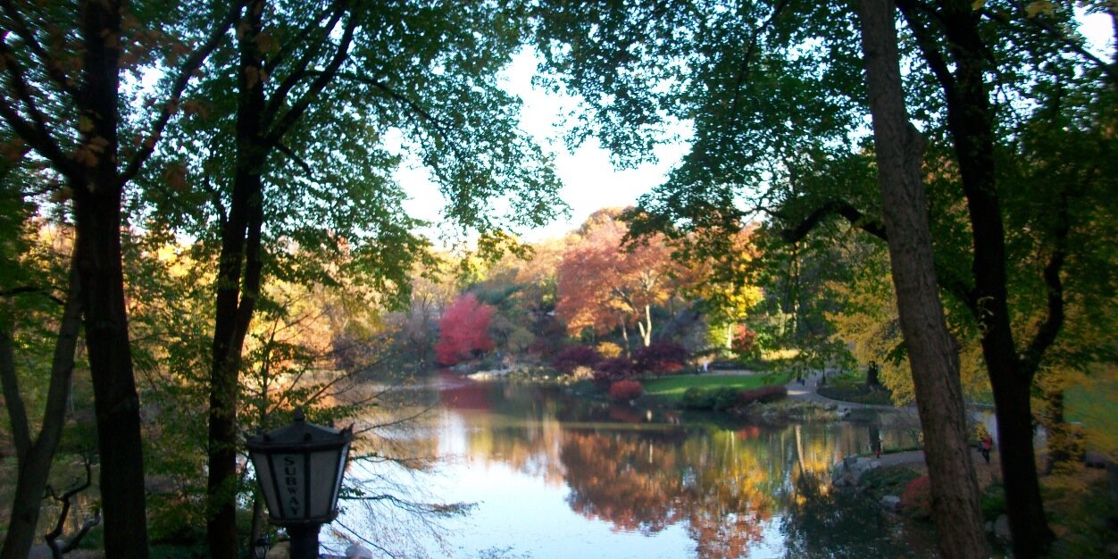 Abigail_Watts's profile banner image