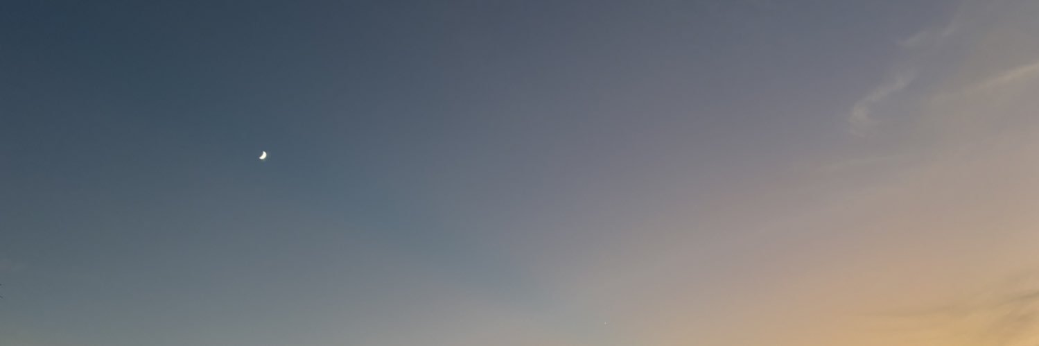 umeboshiumee's profile banner image