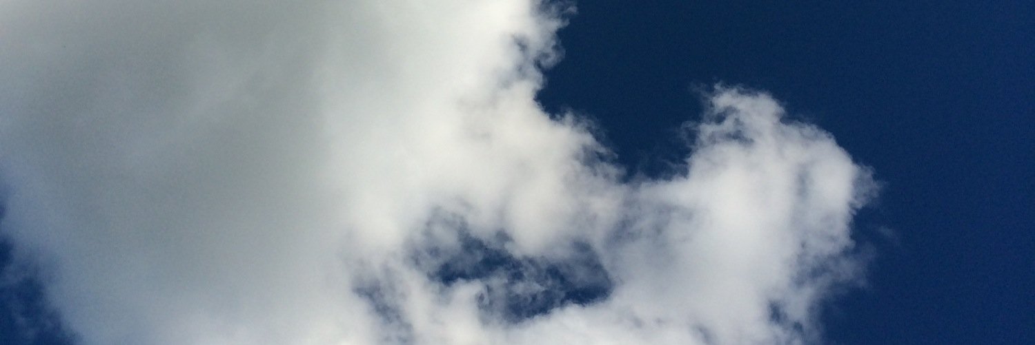 Sam_the_Boxer's profile banner image