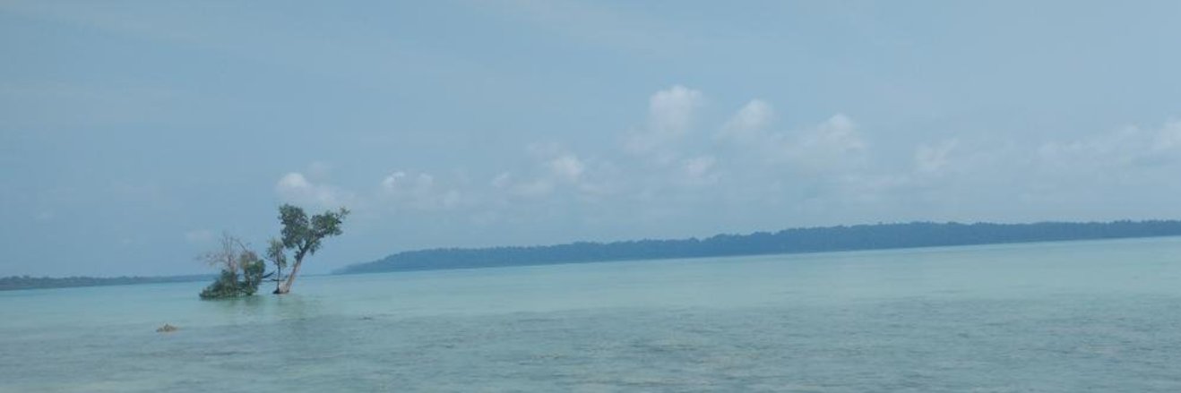 Manasa Venkataraman banner