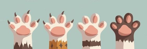 megoweol's profile banner image