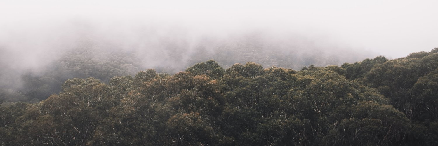 masarisx's profile banner image