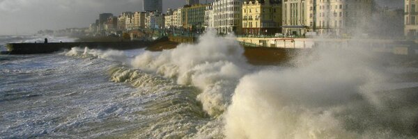 SeaSwimmers Profile Banner