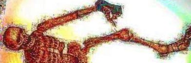 🦜 banner