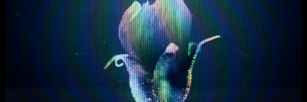 RobertETerry Profile Banner