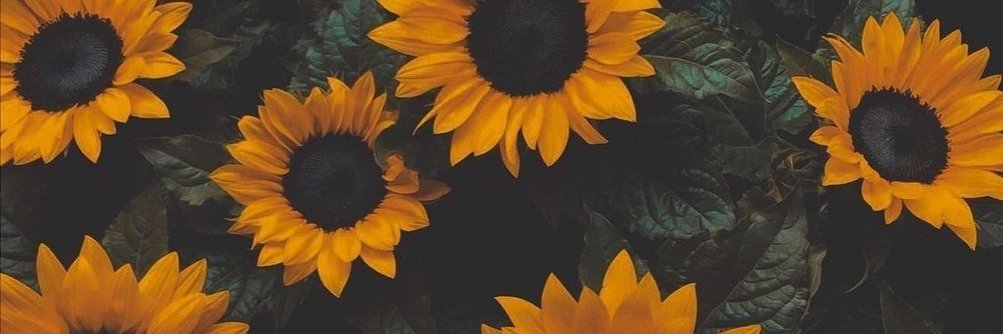 luizazbc's profile banner image
