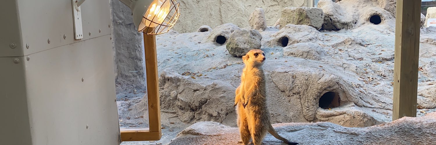 山中日菜美 banner